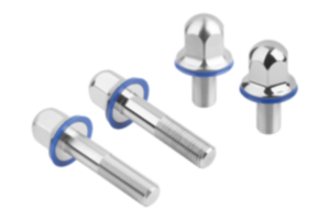 Hexagon head bolts, stainless steel with seal washer in Hygienic DESIGN